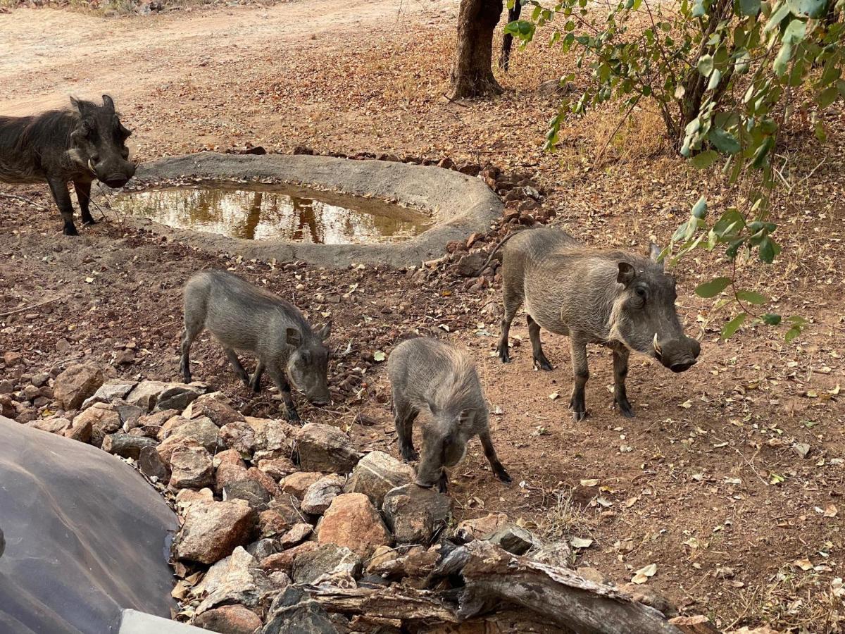 Jackals Dream - Self Catering Villa Bordering Kruger National Park Marloth Park Exterior foto